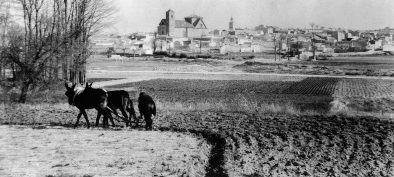 فيلا Casa Besana Camunas المظهر الخارجي الصورة